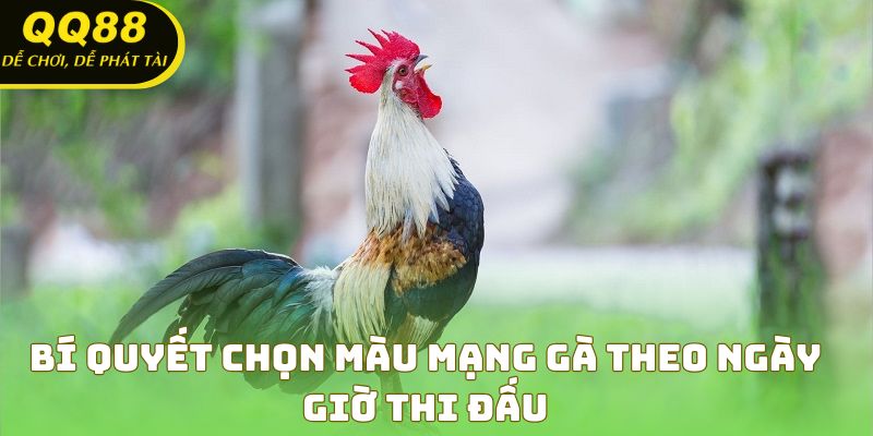 Mẹo chọn màu mạng gà chuẩn xác theo thời gian