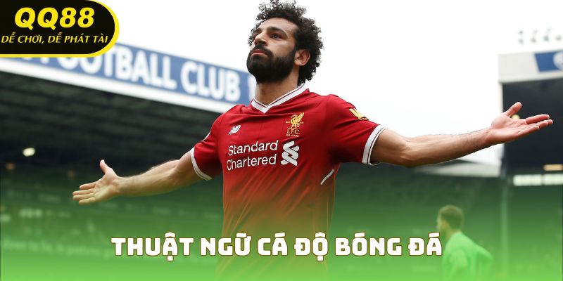 Thuật Ngữ Cá Độ Bóng Đá