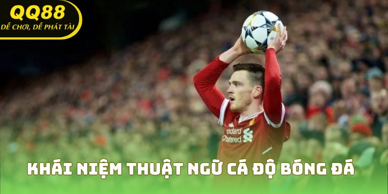 Bật mí khái niệm thuật ngữ cá độ bóng đá